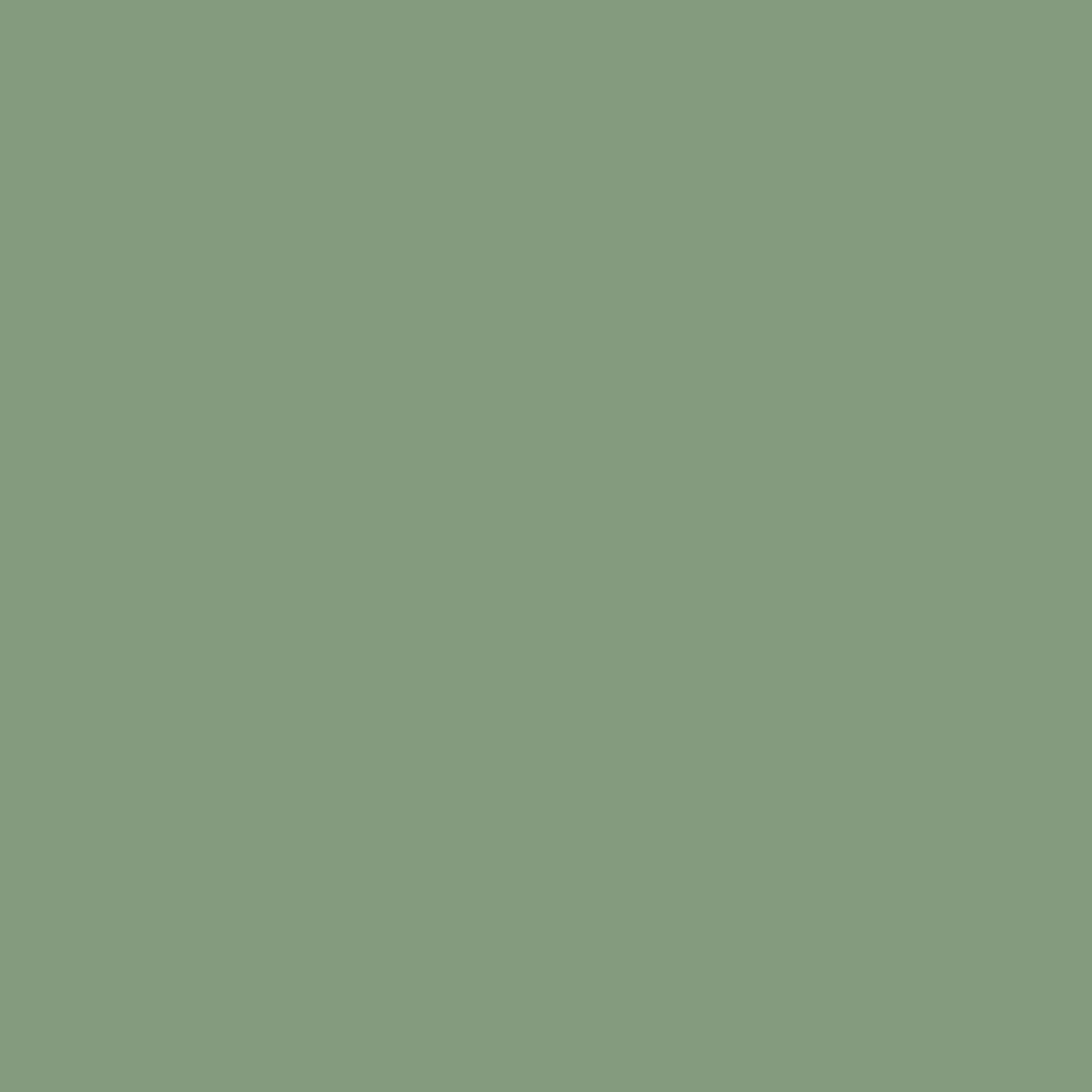 Tampo/Base - Laca Metalizada · Verde-oliva